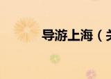 导游上海（关于导游上海介绍）