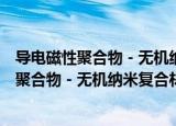 导电磁性聚合物－无机纳米复合材料的研究（关于导电磁性聚合物－无机纳米复合材料的研究介绍）