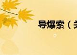 导爆索（关于导爆索介绍）