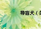 导盲犬（关于导盲犬介绍）