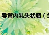 导管内乳头状瘤（关于导管内乳头状瘤介绍）