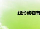 线形动物有哪些（线形动物）