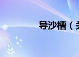 导沙槽（关于导沙槽介绍）