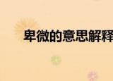 卑微的意思解释是什么（卑微的意思）