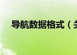 导航数据格式（关于导航数据格式介绍）