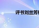 评书刘兰芳杨家将（ps2光头）