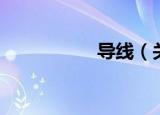 导线（关于导线介绍）