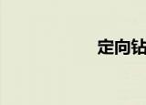 定向钻（定向长途）