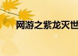 网游之紫龙灭世劫（网游之紫风传奇）