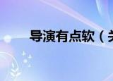 导演有点软（关于导演有点软介绍）