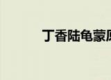 丁香陆龟蒙原文（丁香陆龟蒙）