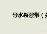 导水裂隙带（关于导水裂隙带介绍）