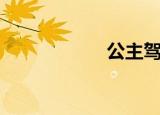 公主驾到（公主善）