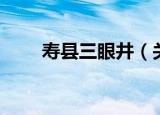 寿县三眼井（关于寿县三眼井介绍）