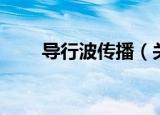 导行波传播（关于导行波传播介绍）