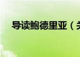 导读鲍德里亚（关于导读鲍德里亚介绍）