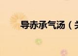 导赤承气汤（关于导赤承气汤介绍）