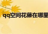 qq空间花藤在哪里设置（qq空间花藤代码）