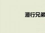 潜行兄弟（潜行的意思）