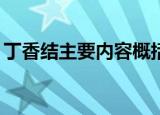 丁香结主要内容概括20字（丁香结主要内容）