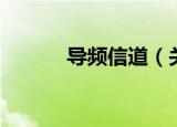 导频信道（关于导频信道介绍）