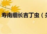 寿南细长吉丁虫（关于寿南细长吉丁虫介绍）