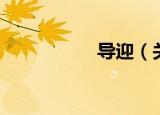 导迎（关于导迎介绍）