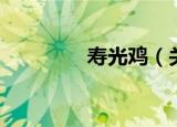 寿光鸡（关于寿光鸡介绍）