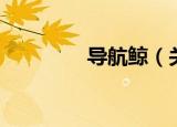 导航鲸（关于导航鲸介绍）