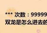 *** 次数：9999999 已用完请联系开发者***
双龙是怎么进去的