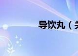 导饮丸（关于导饮丸介绍）