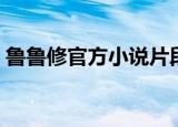 鲁鲁修官方小说片段（鲁鲁修官方小说结局）