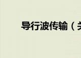 导行波传输（关于导行波传输介绍）