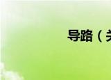 导路（关于导路介绍）