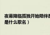 夜幕降临孤独开始陪伴是什么歌名（夜幕降临孤独开始陪伴是什么歌名）