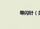导闪针（关于导闪针介绍）