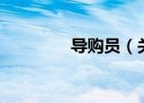 导购员（关于导购员介绍）