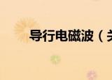 导行电磁波（关于导行电磁波介绍）