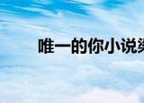 唯一的你小说梁和（唯一的你小说）