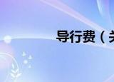 导行费（关于导行费介绍）
