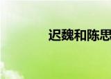 迟魏和陈思瑶的故事（迟魏）