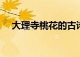 大理寺桃花的古诗怎么念（大理寺桃花）