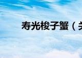 寿光梭子蟹（关于寿光梭子蟹介绍）