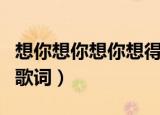 想你想你想你想得快疯了歌词（我想我是疯了歌词）