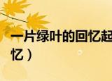 一片绿叶的回忆起因经过结果（一片绿叶的回忆）