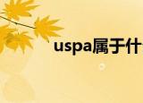 uspa属于什么档次（usp电源）