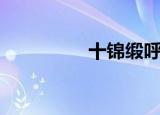 十锦缎呼吸法（十锦段）
