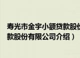 寿光市金宇小额贷款股份有限公司（关于寿光市金宇小额贷款股份有限公司介绍）