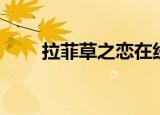 拉菲草之恋在线阅读（拉菲草之恋）