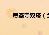 寿圣寺双塔（关于寿圣寺双塔介绍）